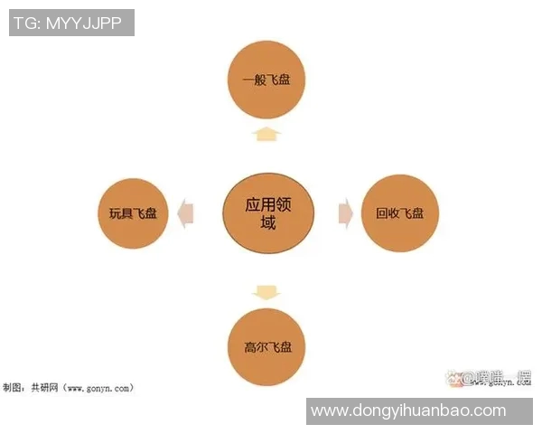 飞盘热潮下的北京飞盘队运营模式与发展策略分析